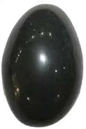 Shaligram Stone – 2 Inch Sacred Vishnu Shila for Puja, Abhishek & Spiritual Worship – The Berg Peak