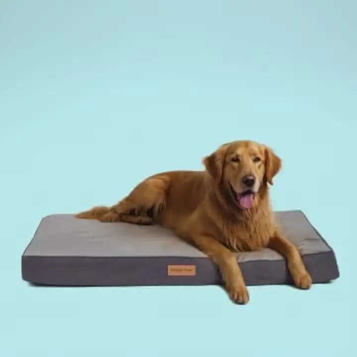 Orthopedic Memory Foam Dog Bed for Extra Large Dogs, Waterproof Lining and Non-Slip Bottom, Removable and Machine Washable Cover (41" x 29", Up to 100LBs)