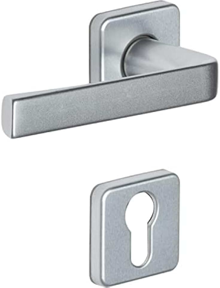 Vachette 0204139 Poignée de porte Türgriff-Set auf Rosetten, Schlüssel I Kaza – für Eingangstür, Keller, Büro und Gartenhäuser mit Zylinder – Material: Robustes Aluminium, Silber