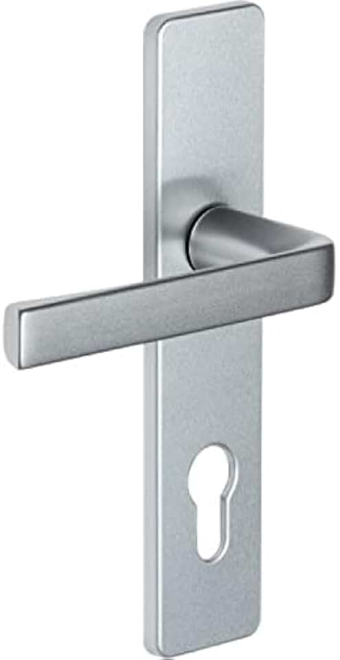 Vachette Türverkleidung, Set Kaza, 190 mm x 42 mm, Platte, Silber