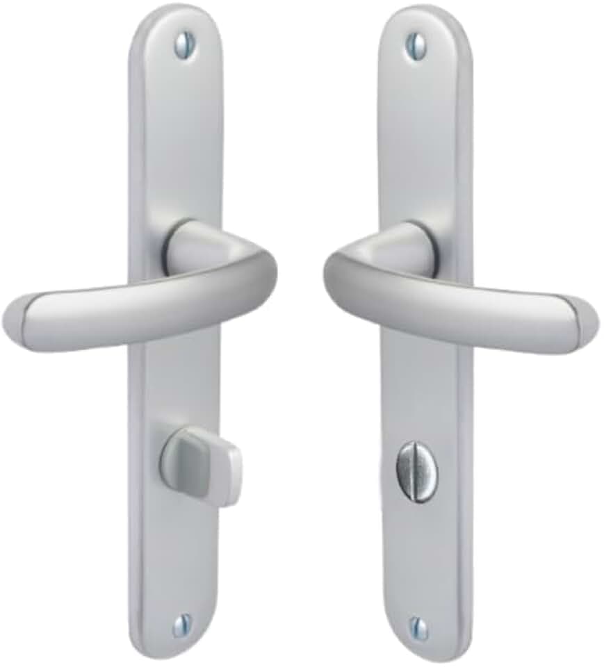 Assa Abloy Vachette Budget Bezault Griff auf Platte – Silber – Verurteilung – Kuh