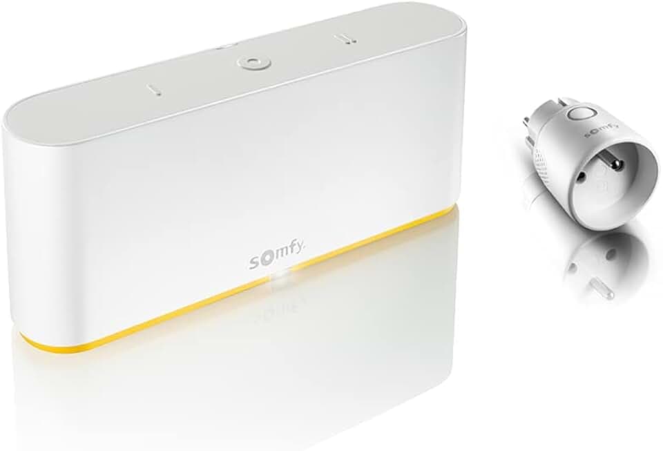 Somfy 1870998 - Tahoma Switch + Plug io Smarter Zwischenstecker | kompatibel mit io, RTS, Zigbee 3.0, kompatibel mit Google Assistant und Alexa