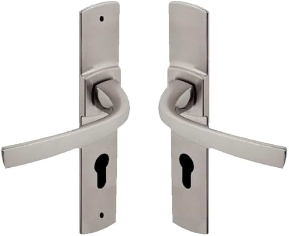 Vachette Türgriff-Set auf großer Platte MUZE – Schlüssel-Version I, Eingangstür, Büro, Garage – Stichmaß 195 mm – einfaches Befestigungssystem – robustes Zamak – Platin-Finish