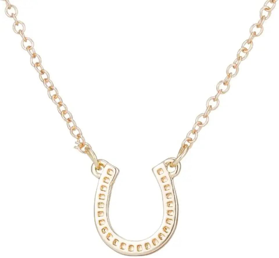 coadipress Stainless Steel Horse Shoe Style U Shaped Necklace Collar Statement Necklace Horse Gifts for Women