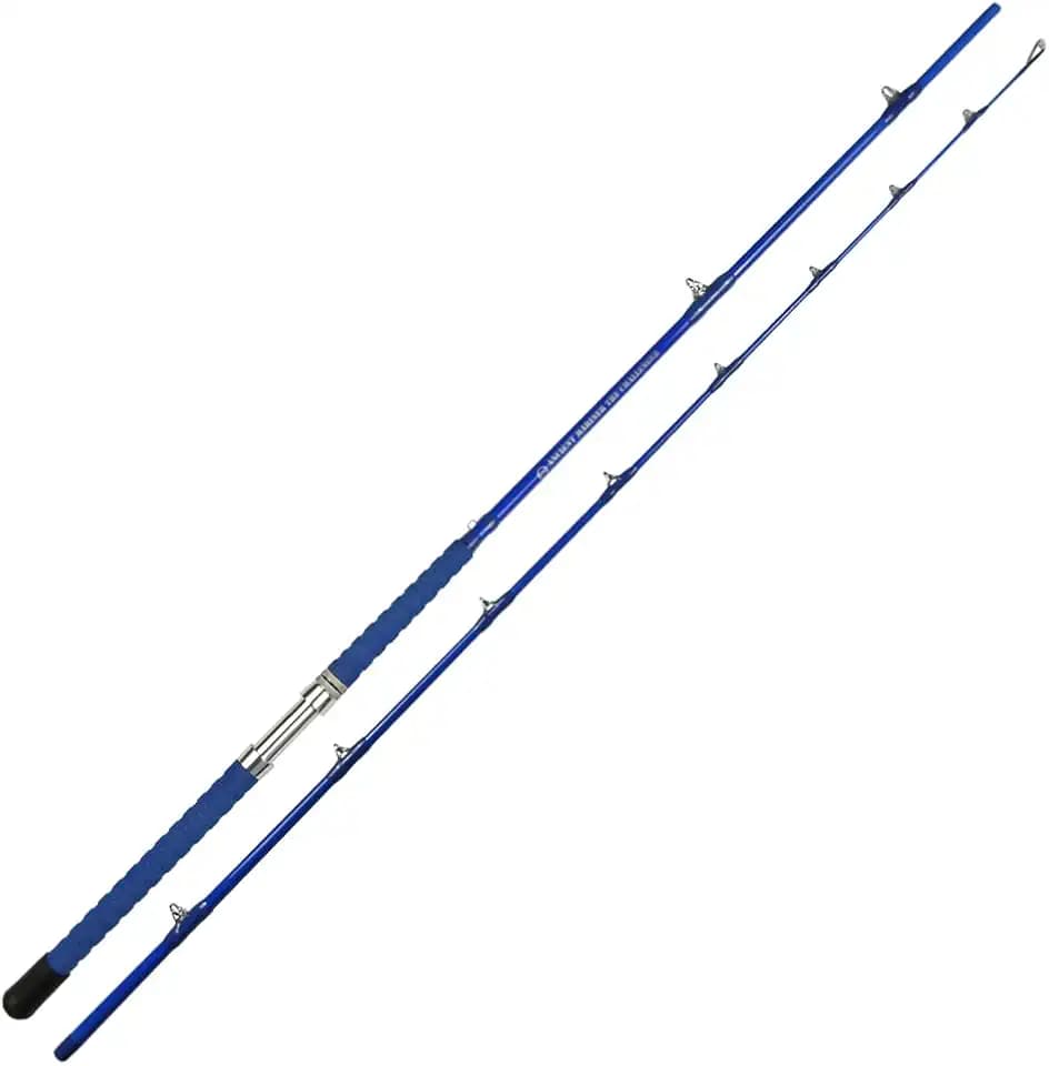 ANCIENT MARINER Catfish Fishing Rods 10' Two-Piece Glow in The Dark Ancient Mariner The Challenger Casting Rod, Heavy