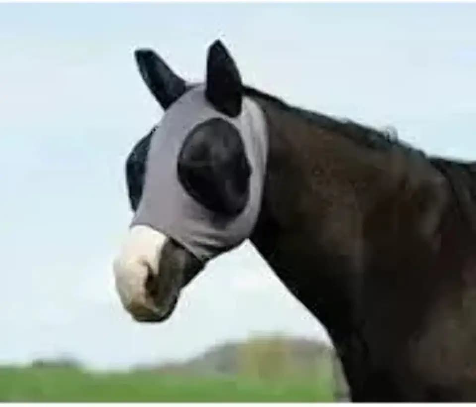 Weaver Equine CoolAid Cooling Fly Mask with Ears - Eye and Ear Protection Fly Masks for Small, Medium, and Large Horses