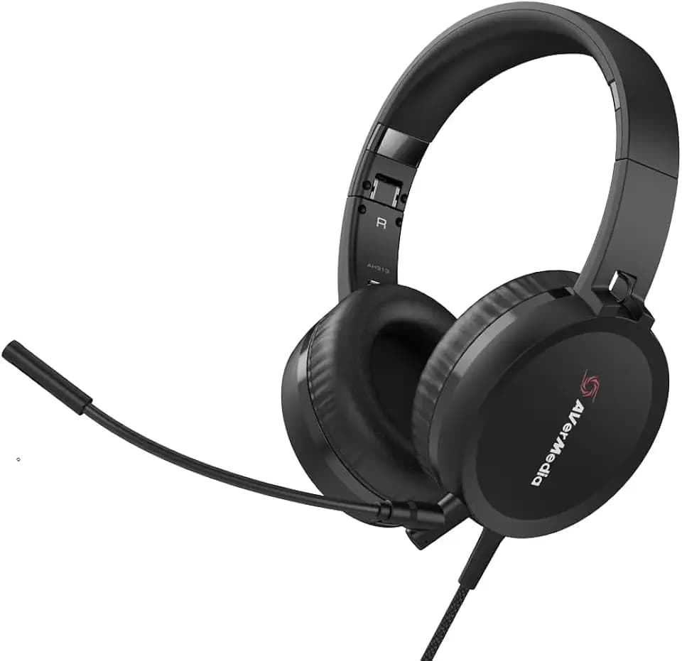 AVerMedia AH313 USB Headset with Detachable Omnidirectional Microphone, USB-A, Compatible with Zoom, Skype, Teams, and More for Working, Gaming, and Learning