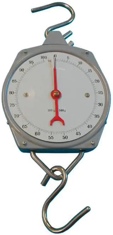 Berger + Schröter Waage, grau, 100 kg, 50063