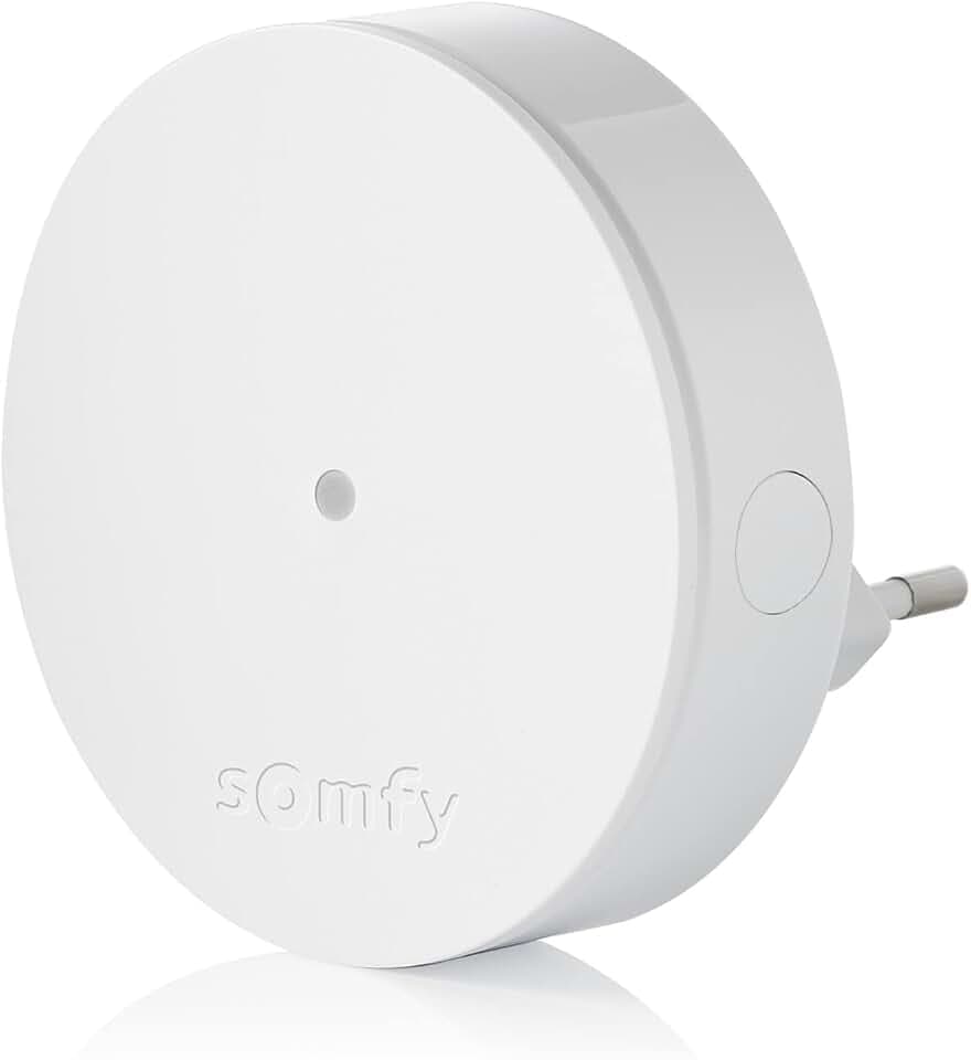 Somfy 2401495 - Funkverstärker für Somfy Sicherheitssysteme | Erhöhung der Funkreichweite von Somfy Home Alarm & Somfy One (+)-Reihe