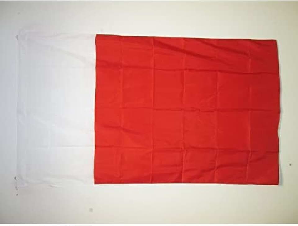AZ FLAG Flagge Emirat Dubai 150x90 cm Fahne Dubai Polyester 100D Hohlsaum