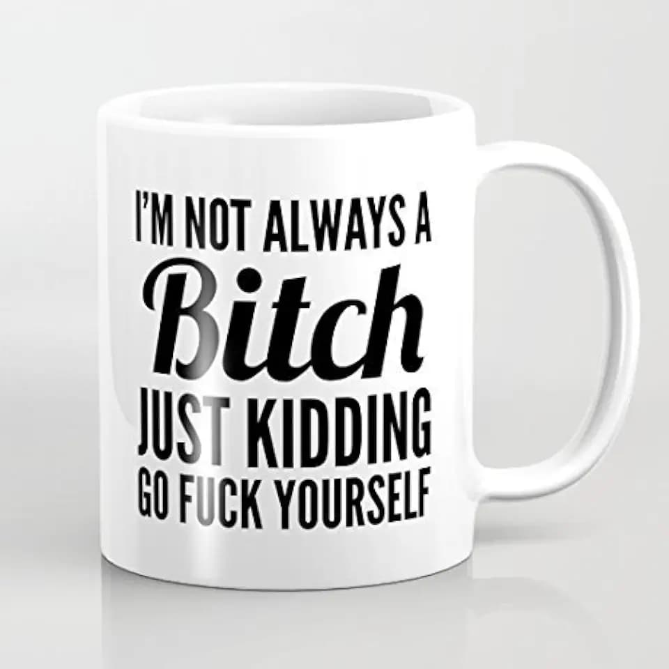Qemingyer Kaffee- / Tasse mit sarkastischem englischem Aufdruck I'm Not Always A Bitch Just Kidding Go Fuck Yourself, witziges Geschenk für Frauen, ca. 312 ml Fassungsvermögen