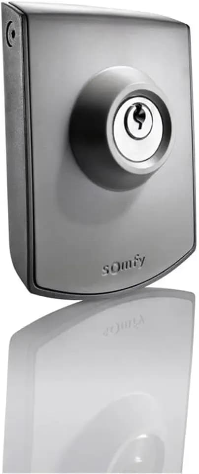 Somfy 2400597 -Schlüsseltaster Aufputz zur Bedienung von Torantrieben, grau, Silber