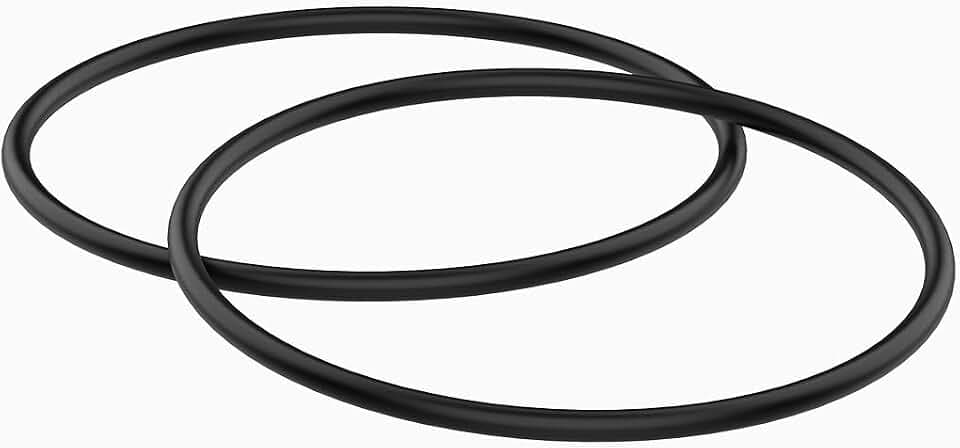 357255 2-Pack Spa and Pool Pump Inground O-Ring Replacement – Pool Pump Lid Replacement for Pentair SuperFlo, Inground, Above Ground Pumps – Watertight and Leakproof Sealing