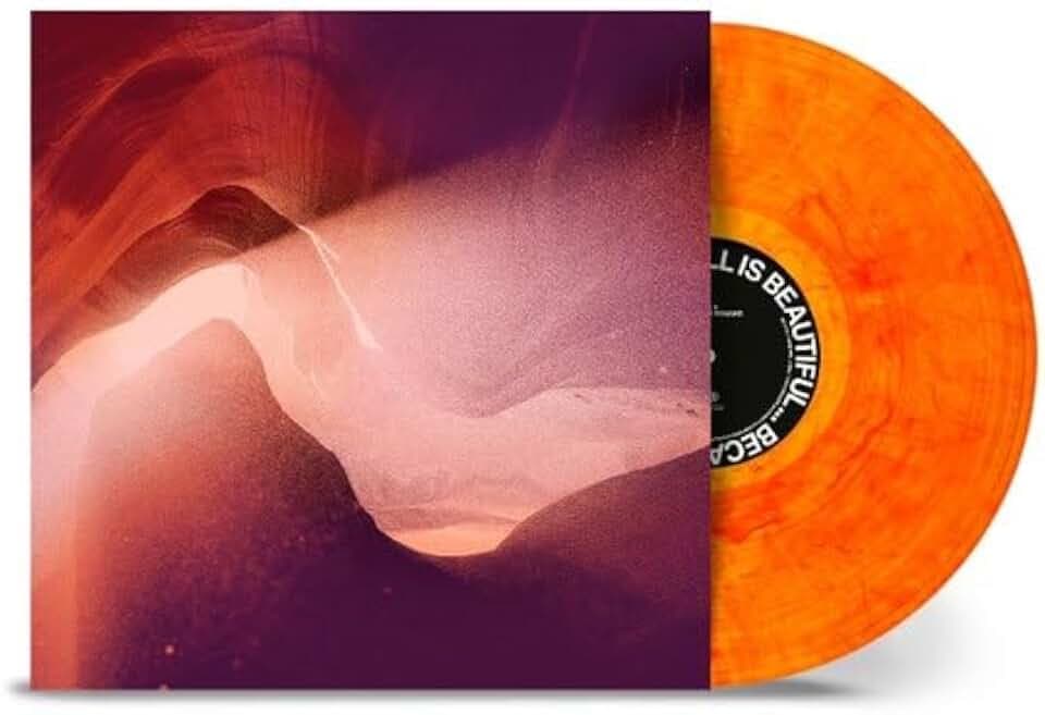 All Is Beautiful...Because We Are Doomed [Vinyl LP]