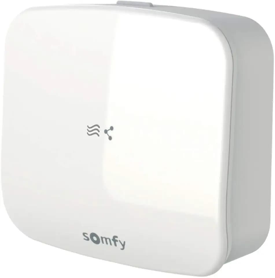 Somfy 1870359 - Empfänger für Radio io Connected Thermostat