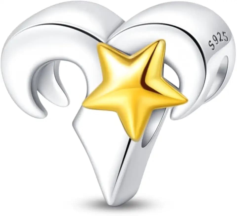 925 Sterling Silver 12 Astrological Signs Charm for Bracelets and Necklace Happy Birthday Charms for Bracelet and Necklace Valentine's Day Mother's Day Gift