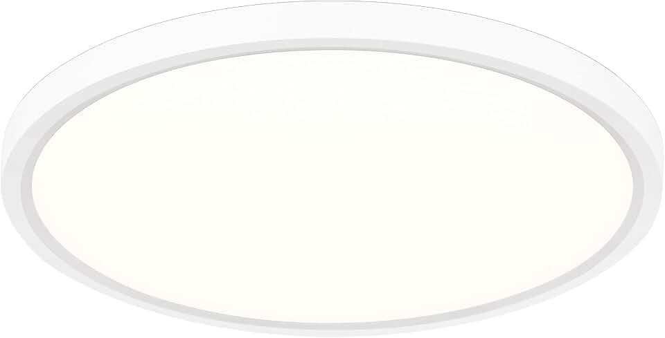 LED Deckenleuchte Dimmbar mit Fernbedienung Hintergrundlicht