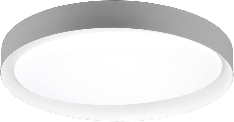 Reality Leuchten LED Deckenleuchte Zeta R62712411, Kunststoff grau oder weiß, inkl. 24 Watt LED, Fernbedienung