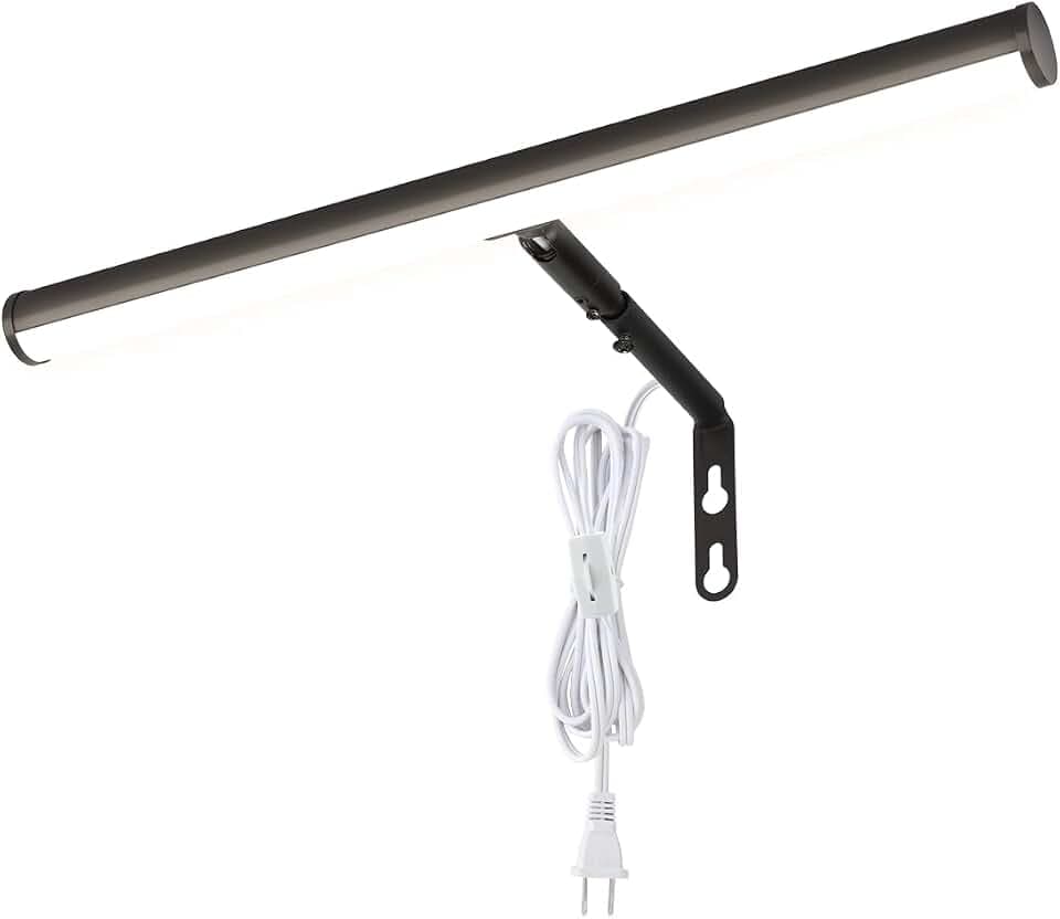 LED Picture Lights for Paintings Plug in Oil Rubbed Bronze Finish