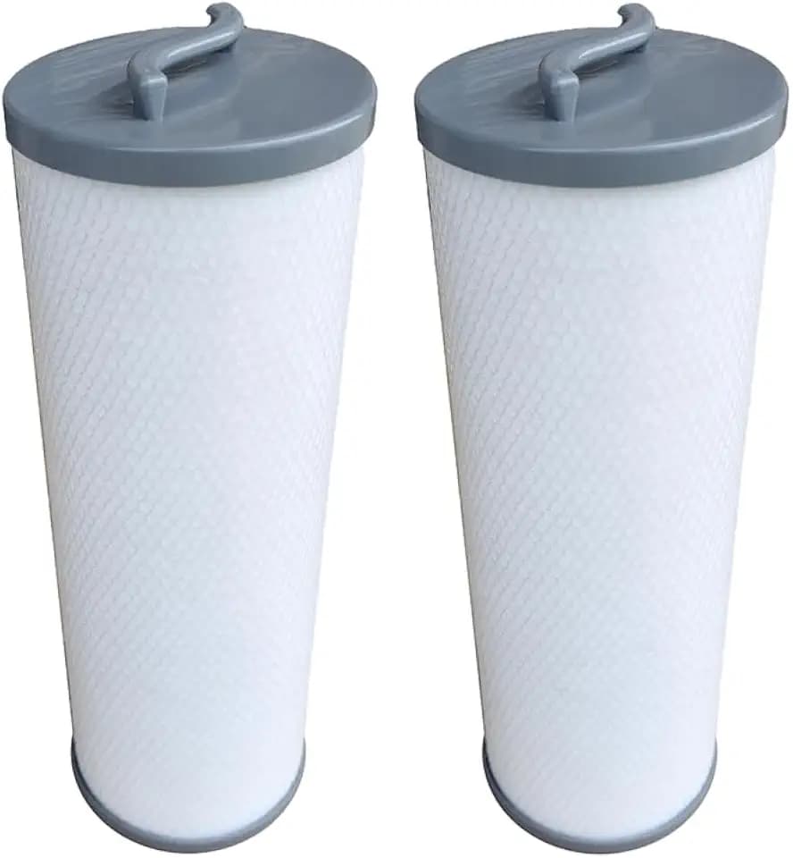 Malaka Spa Filter Cartridge FD4001G Compatible with 006541 Silver Sentinel 900011 RD800-2120 PP6541, 2 inch/ 4.9cm Female Thread, 2-Pack