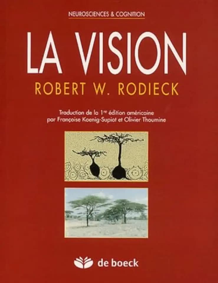 La vision