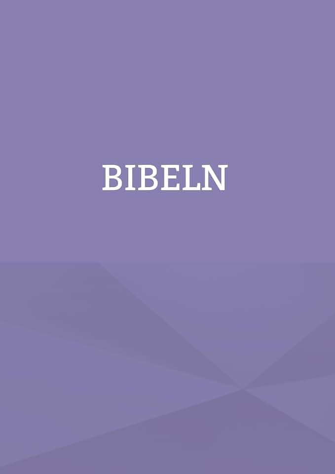 King James bibeln på svenska: Bibeln