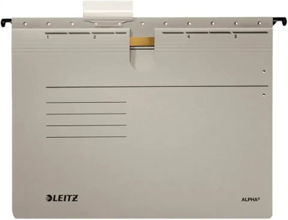 Leitz 19843085 Hängehefter Alpha , kfmit Heftung, Colorspankarton, 5 Stück, grau