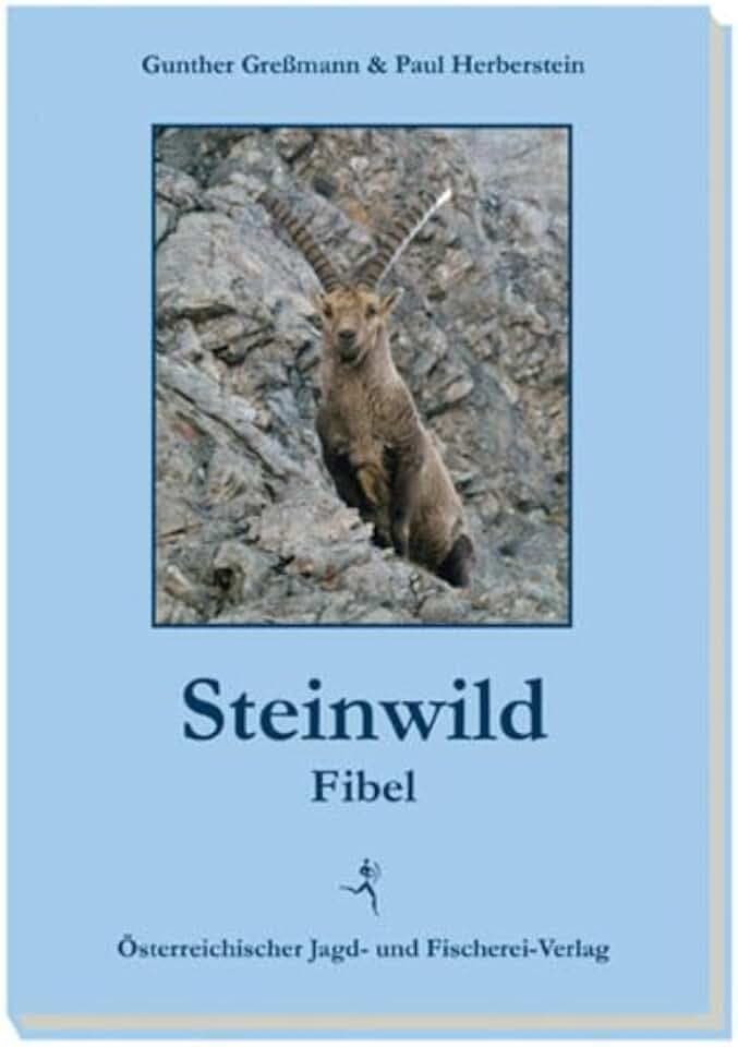 Steinwildfibel