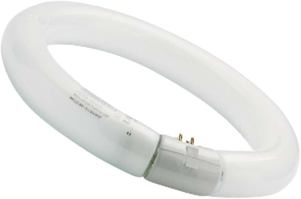 WatioWave Leuchtmittel, rund, 40 W, 6500 K