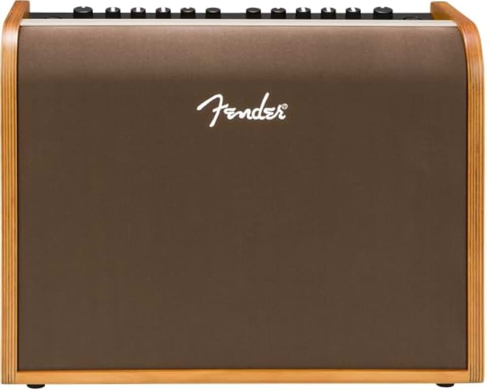 Fender Acoustic 100 Akustikverstärker für Gitarre & Mikrofon, 100W