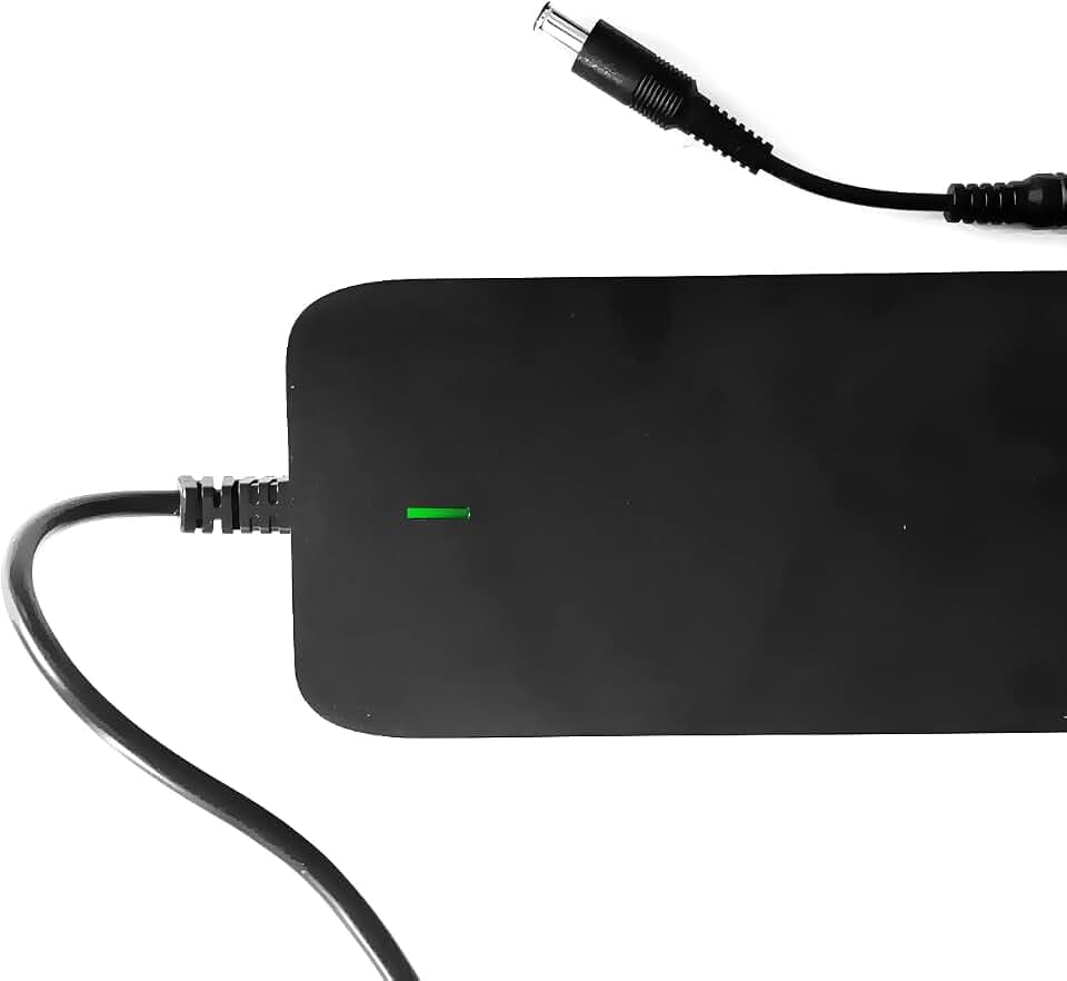 Enerpower Ladegerät 42V für 36V Akku VANMOOF S3 und X3 (3A Ausgang (125 Watt))