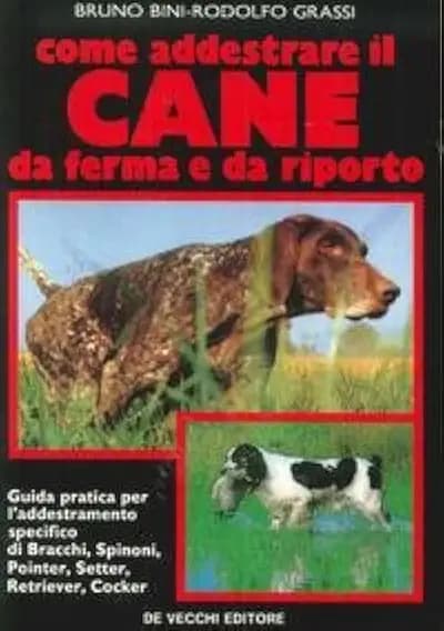 Come addestrare il cane da ferma e da riporto