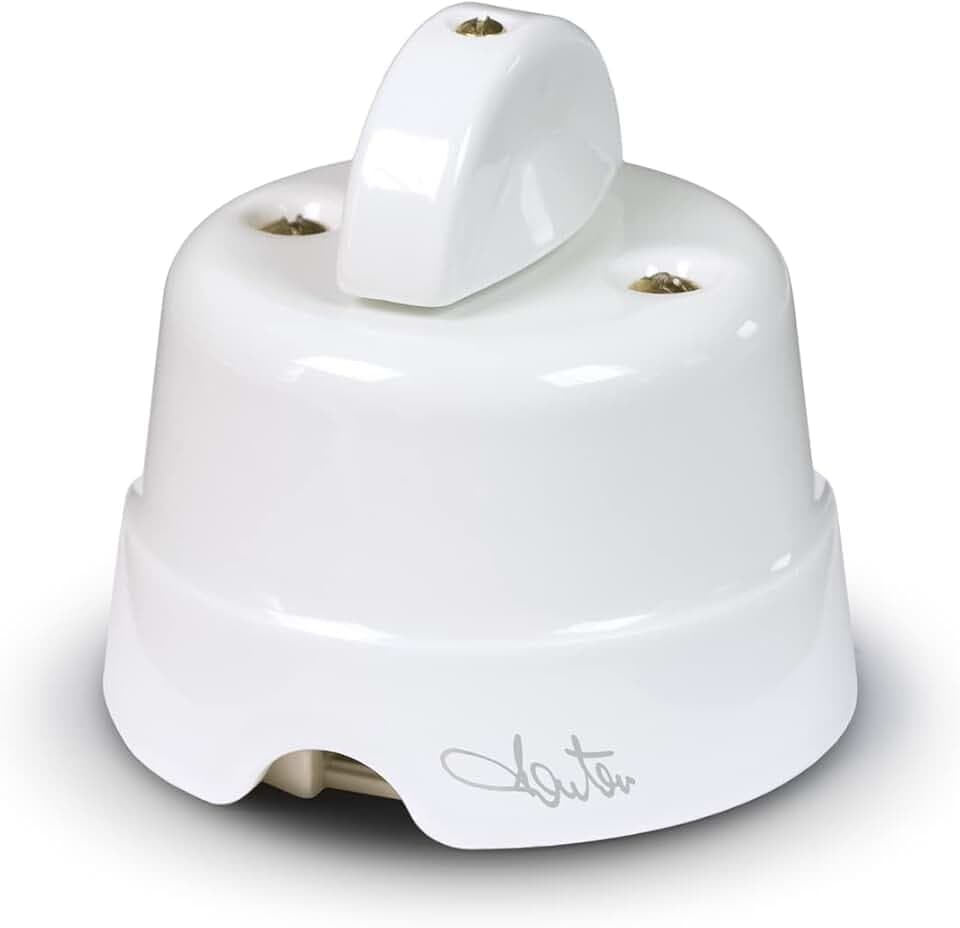 FANTON FME84001 10AX 250V BI