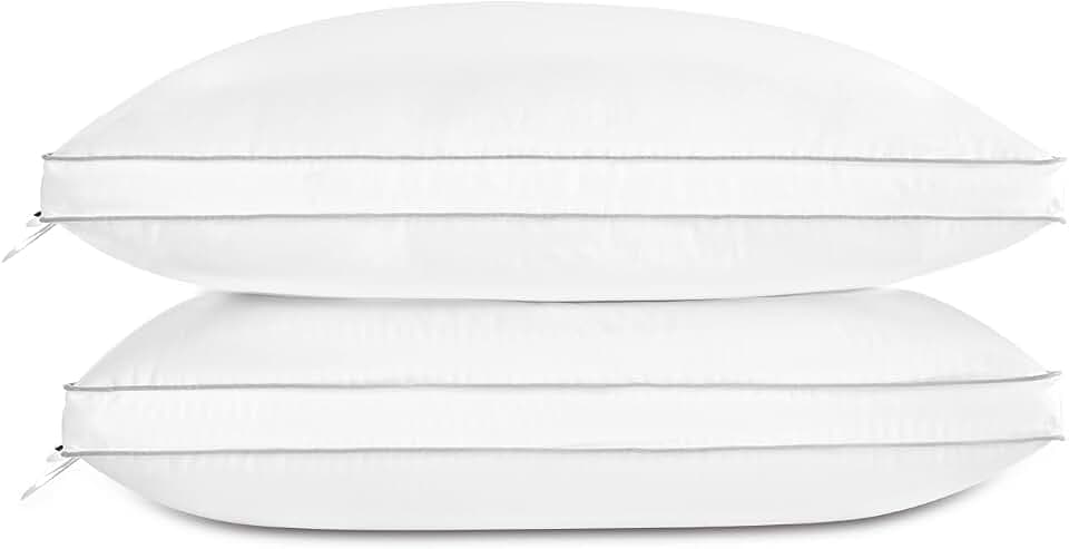 Globon Luxury Feather Down Pillow Standard Queen Size Set of 2