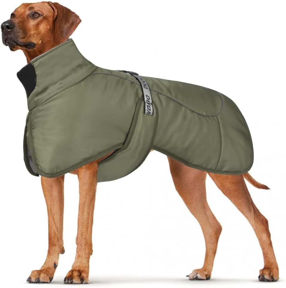 Hundemäntel Wasserdicht Winddicht Warm Winter Sicher mit Gewinde Reflektierende Streifen Jacke für Mittelgroße Große Hunde mit Geschirrloch für Welpen Haustiere Kaltes Wetter Kleidung Weste