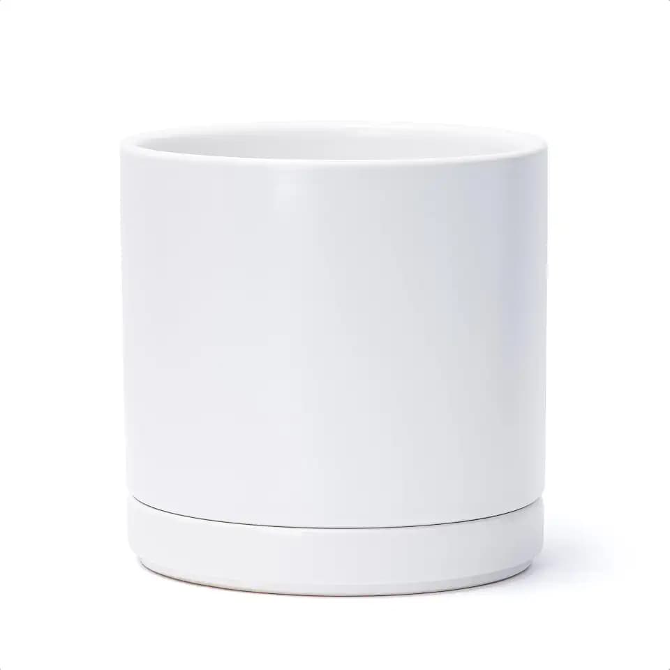 D'vine Dev 8.2 Inch Ceramic Planter Pot, White, 94-O-D-1