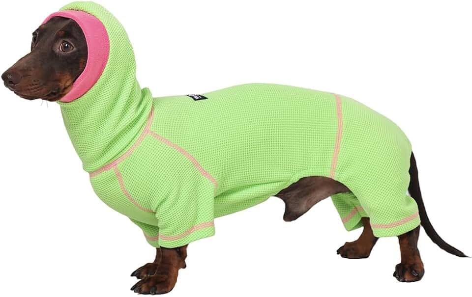 Dachshund Dog Turtleneck Sweater, Waffle Pullover Jumpsuit for mini Dachshunds, Soft 4-Leg Dog Pajamas, Snug Outfit for Long Body Breeds (Green, Small(7-12lbs))
