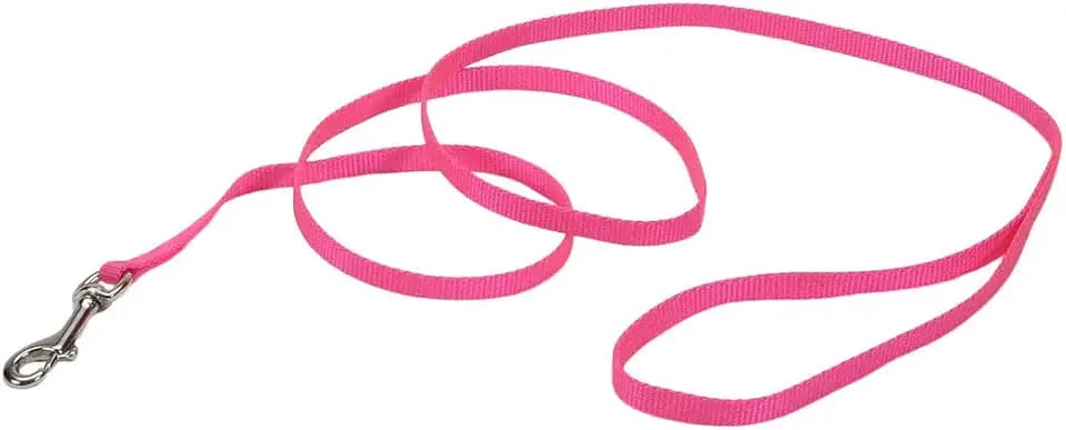 Coastal Pet Single-Ply Dog Leash, Neon Pink, 3/8" x 6'