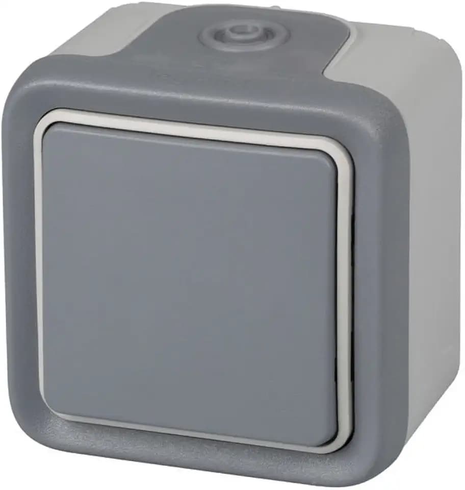 legrand 191501 Wasserdichter Schalter für die Oberfläche, Grau