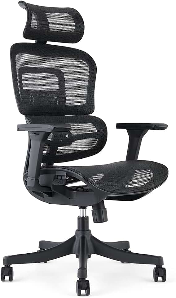 Waytex Draconis Ergonomischer Bürostuhl, Bürostuhl aus atmungsaktivem Netzstoff, verstellbare 3D-Armlehnen, verstellbare Kopfstütze, Ultra-Bequeme Lendenwirbelstütze, Schwarz