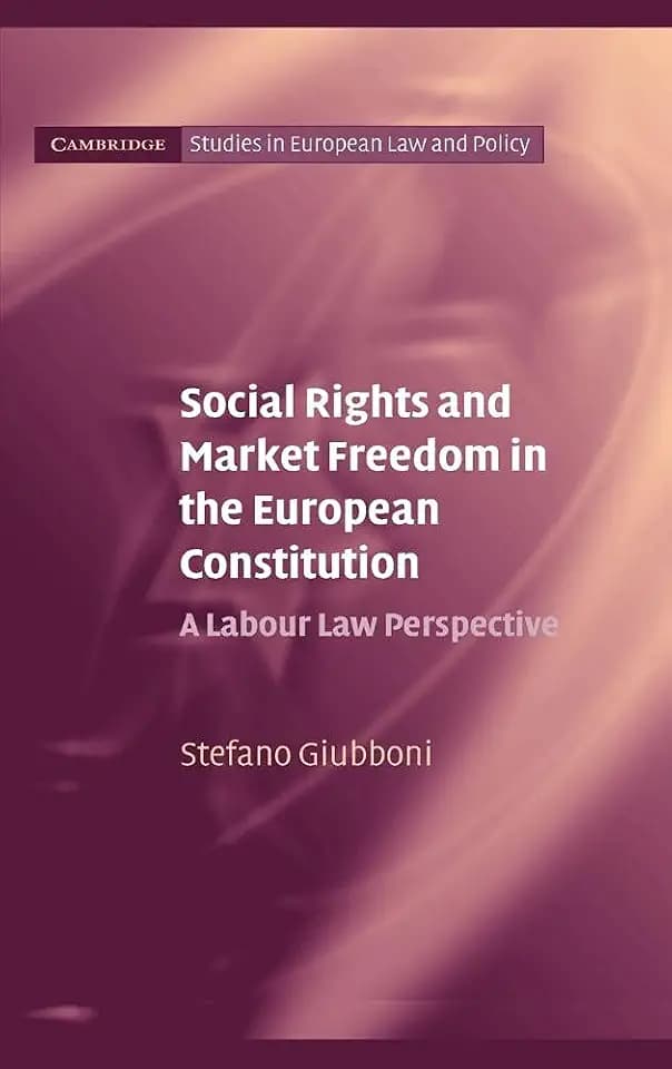 Social Rights and Market Freedom in the European Constitution: A Labour Law Perspective (Cambridge Studies in European Law And Policy)