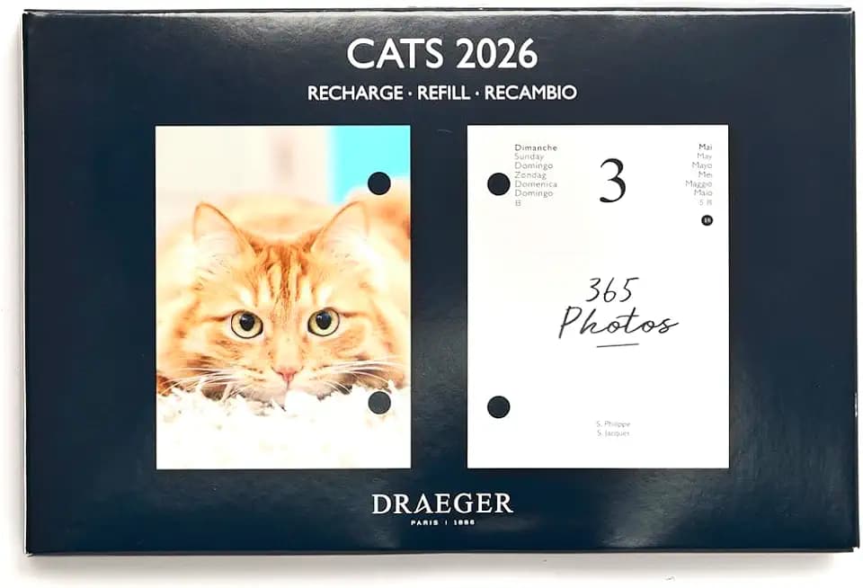 DRAEGER PARIS 1886 - Kalendereinlage 16 x 10 cm 2026 – Motiv Katzen – 12 Monate – FSC-Papier – abnehmbare Illustrationen