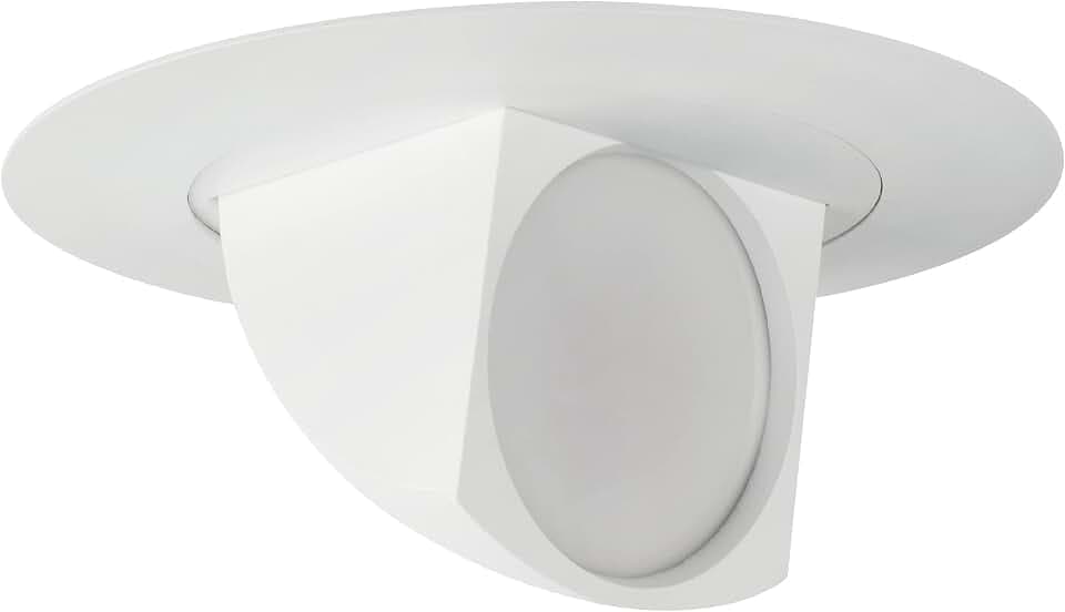 Feit Electric 5/6 Inch LED Directional Downlight, 75W Eq, Bright White