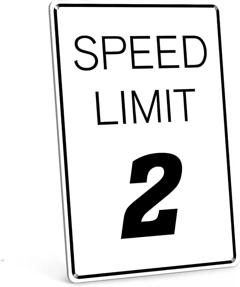 Race Car Themed Two Fast Birthday Party Decorations Tin Sign