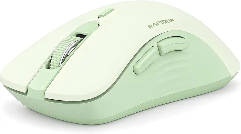 RAPIQUE Bluetooth Wireless Mouse, Dual Bluetooth & 2.4GHz, Sage Green