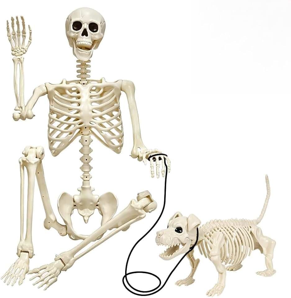 Mineup 3Pcs Halloween Skelett, 90cm Ganzkörperskelette mit Beweglichen Gele