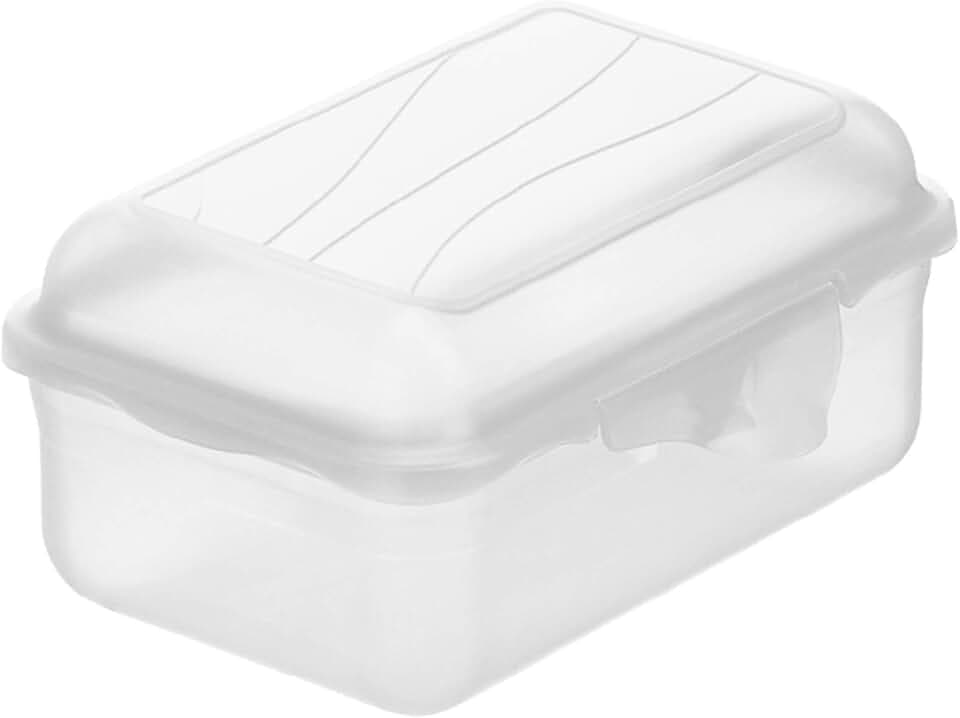 Rotho Fun Vesperdose 0.4l mit Klickverschluss, Kunststoff (PP) BPA-frei, transparent, 0.4l (12.5 x 9.0 x 5.8 cm)