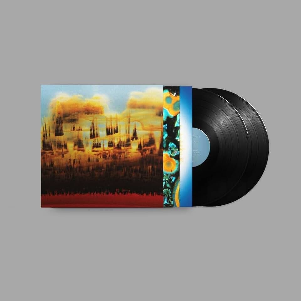 Distance in Static [Vinyl LP]