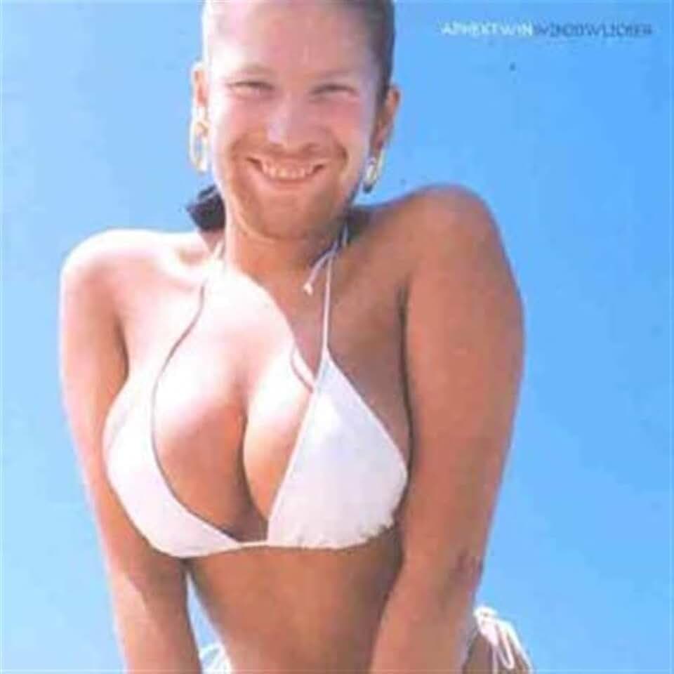 Windowlicker [Vinyl Maxi-Single]