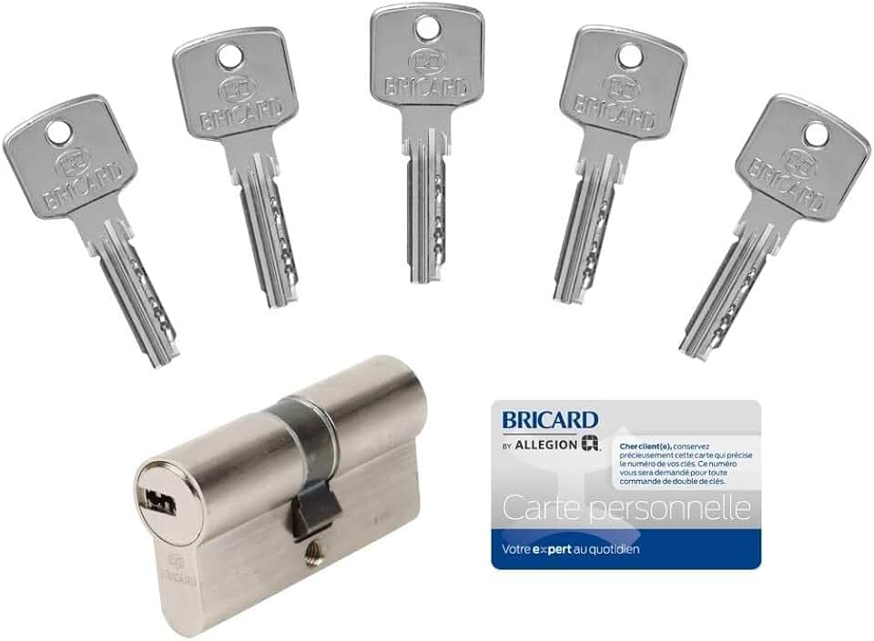 Bricard Schloss 15105 Zylinder A6, 30 + 30 cm, mit 5 Schlüssel, vernickelt